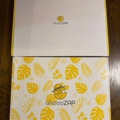新品未開封チョコザップスターターキットと23年夏キット
