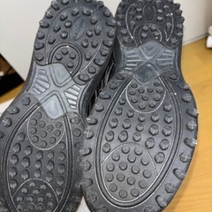 野球で一度使った靴の画像