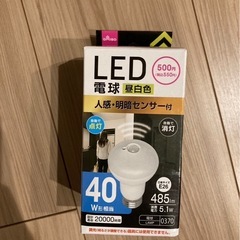 人感オートセンサーライト