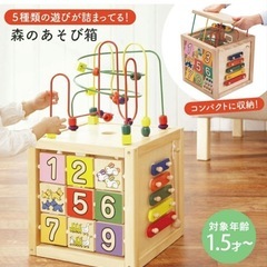 エドインター　森のあそび箱