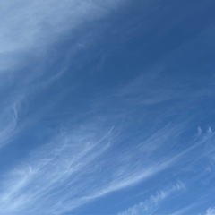 丗壱ノ言成