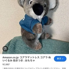 説明必読　こあらぬいぐるみの画像