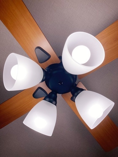 WINDOUBLE シーリングファンライト 4灯 4灯 Windouble（4-lights）ウィンダブル ライフオンプロダクツ製