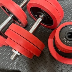 [値下げ可
]IROTEC　ダンベル　30kg