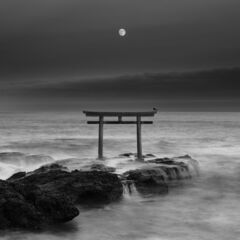 一緒に写真道に精進してくれる仲間を大募集中！
