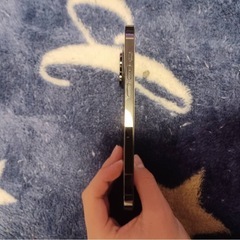 iPhone14Pro Max256GB
の画像