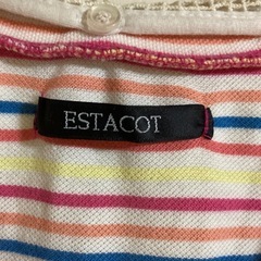 ESTACOT ストライプ レース襟 Tシャツの画像