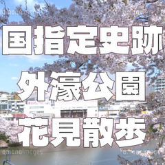 国指定史跡にもなっている外濠公園を歩いてみよう！江戸時代の名残を...