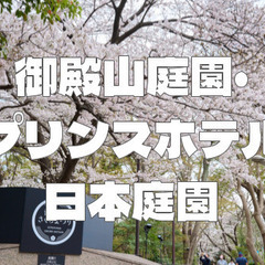 御殿山庭園とプリンスホテル日本庭園の2か所！贅沢な日本庭園巡りを...