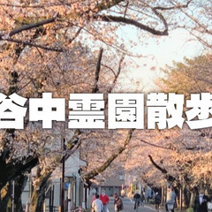 有名人がたくさん眠る寛永寺霊園〜谷中霊園を歩いてみよう！桜の名所...