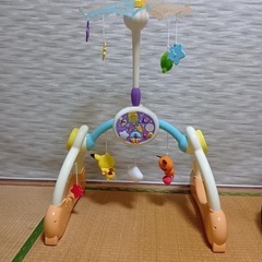 7ステップメリージム