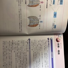 根拠がわかる症状別看護過程 改訂第3版の画像