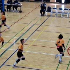 小学生バレーボール、団員募集中(大井クッキーズスポーツ少年団) - スポーツ