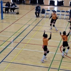 小学生バレーボール、団員募集中(大井クッキーズスポーツ少年団) - ふじみ野市