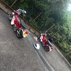 HONDAシャリー
