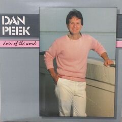 アメリカ/America ダン・ピーク/Dan Peek　ＬＰレコードセット　「アリバイ/Alibi」「Doer of the Word」の画像