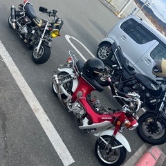 HONDAシャリー
の画像
