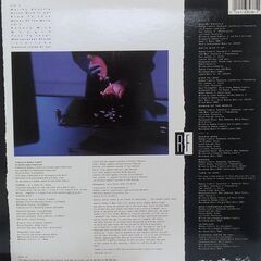ロドニー・フランクリン/Rodney Franklin　LPレコード　「Skydance/Diamond Inside of Youの画像