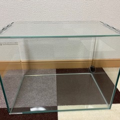 【美品】40センチ水槽　曲げガラス（レグラス
）