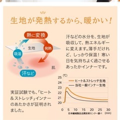 暖か発熱インナーL×2枚の画像