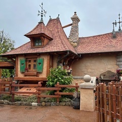 カフェかディズニー好き募集中