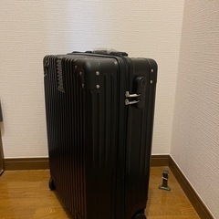 20インチ スーツケースの画像
