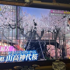 LG86NANO91JNAの画像