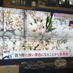 LG86NANO91JNAの画像