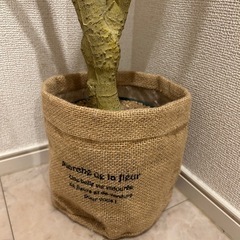 造花　植物　インテリアの画像
