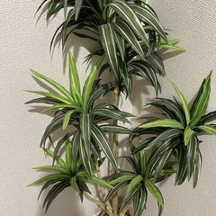 造花　植物　インテリアの画像