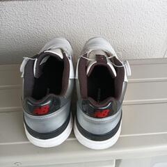 ゴルフシューズの画像