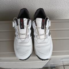 ゴルフシューズの画像