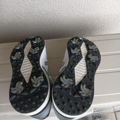 ゴルフシューズの画像