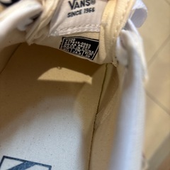 VANSの画像