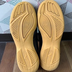【美品✨】MIZUNOフットサルシューズ23.0cmの画像