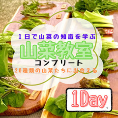 ２０２５年！日本でここだけ山菜体験1day !20種類以上山菜！常総市