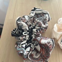シュシュの画像