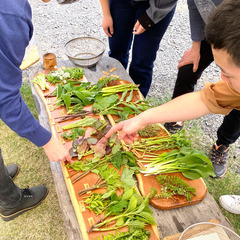 ２０２５年！日本でここだけ山菜体験1day !20種類以上山菜！常総市の画像