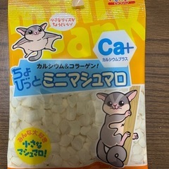 ハムスター 