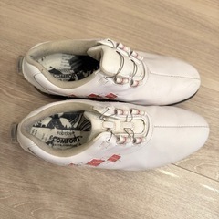 ゴルフシューズ　フットジョイの画像