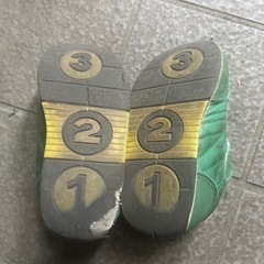 16㎝ IFME 25日までに取りに来れる方の画像