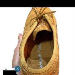 ティンバーランドの画像