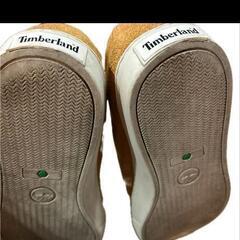 ティンバーランドの画像