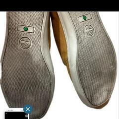 ティンバーランドの画像