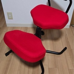 【美品】HAG ホーグ balance バランススタディ