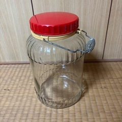 【値下げ】果実酒瓶 5本 大・中・小の画像