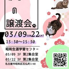 3/22(土)猫の譲渡会　in　名古屋市昭和生涯学習センター
