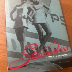 岐阜市)stewardess