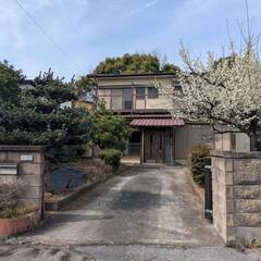 現状渡し　春日井市　6DKと広い室内！　季節を感じられる庭！　和...