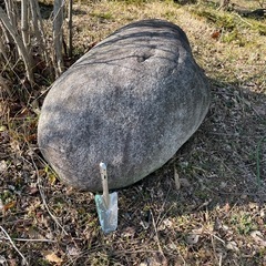 庭石　の画像